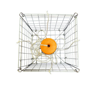 Rigged Crab Traps